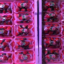 草莓红颜40克以上六斤