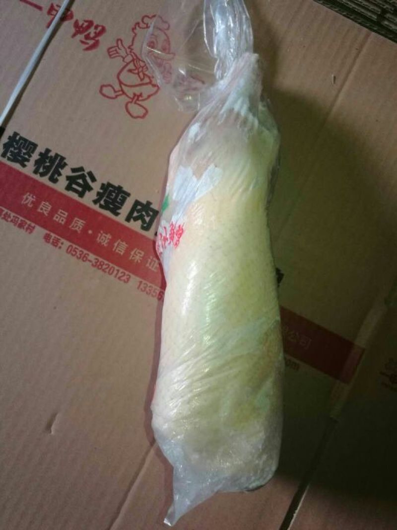 白条鸭