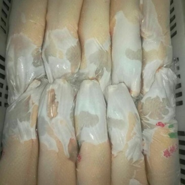 白条鸭