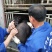 黑土仔猪三元仔猪、防疫齐全，健康活泼生长快