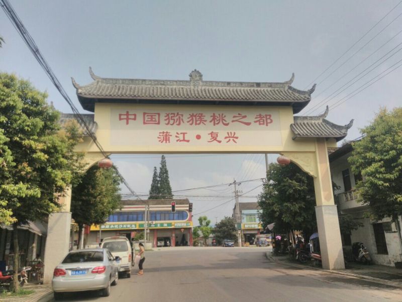 蒲江黄心猕猴桃一件代发包邮包售后