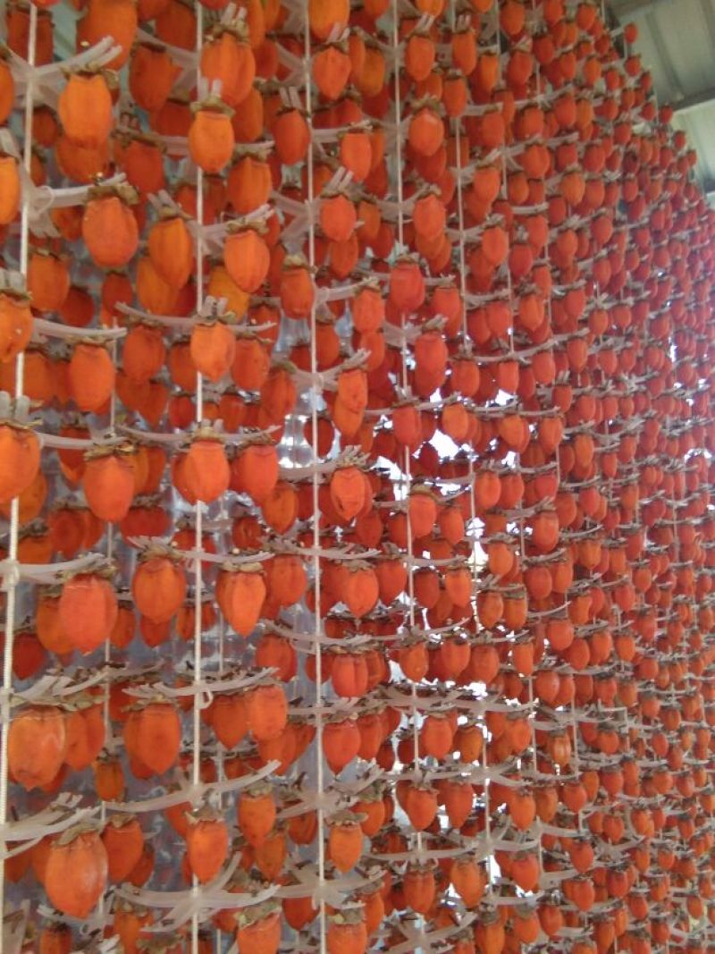柿饼1~2两