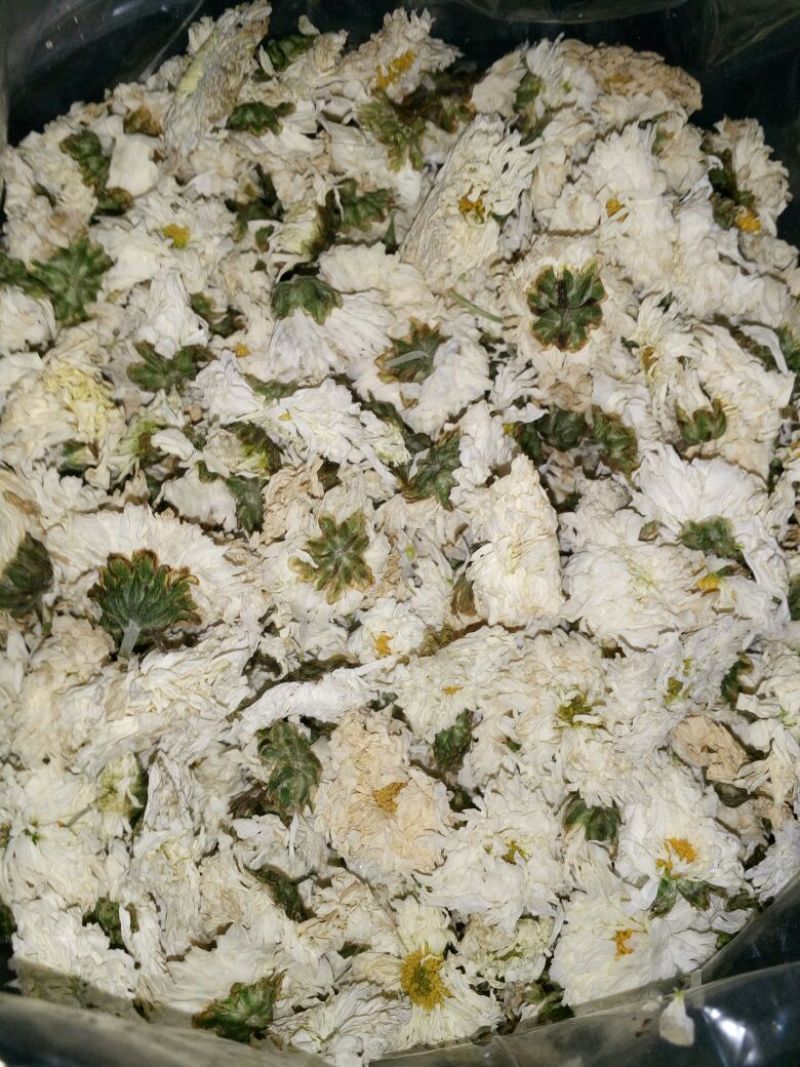 干菊花