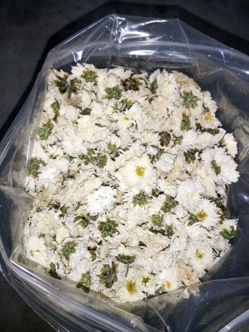 干菊花