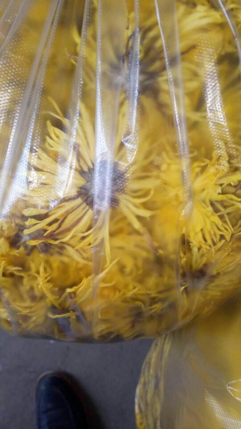 金丝皇菊茶一级