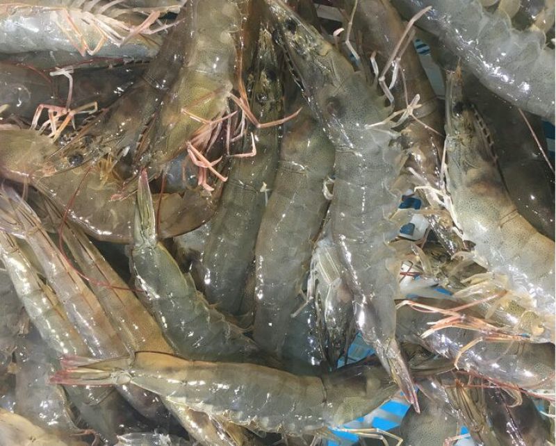 基围虾食用活虾