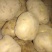 晋薯16号通货2两以上
