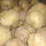 晋薯16号通货2两以上