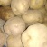 晋薯16号通货2两以上