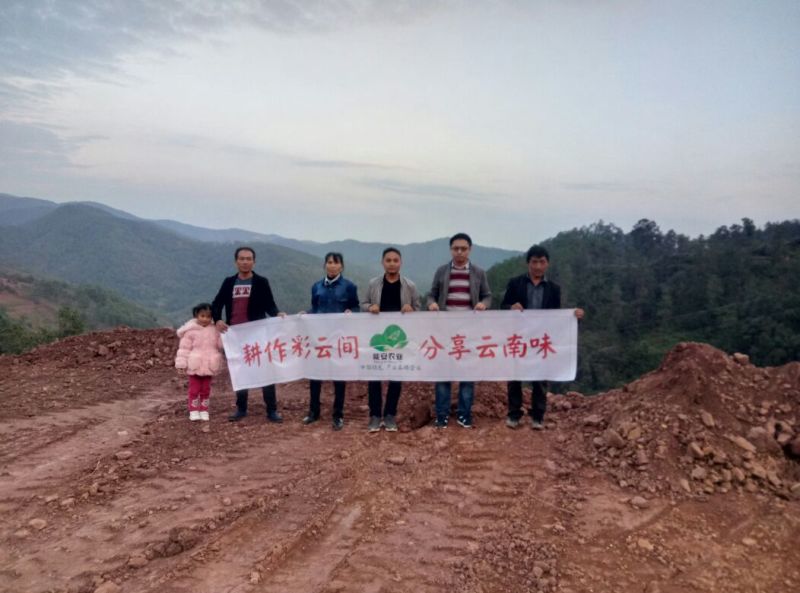 黑山羊云南楚雄彝族产区