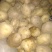 晋薯16号通货1两以上