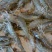 基围虾食用活虾