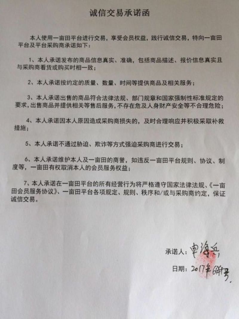 山东金乡红帽蒜薹大量供应常年有货可发全国各地