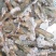 基围虾食用活虾