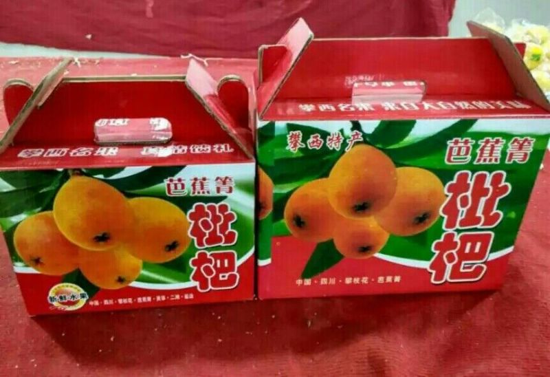 早中枇杷0.4两以上