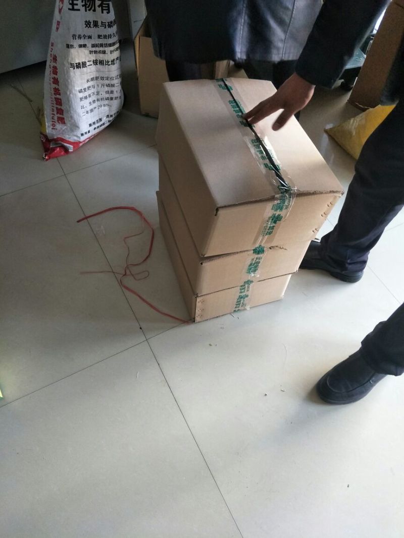 红枣一级干枣