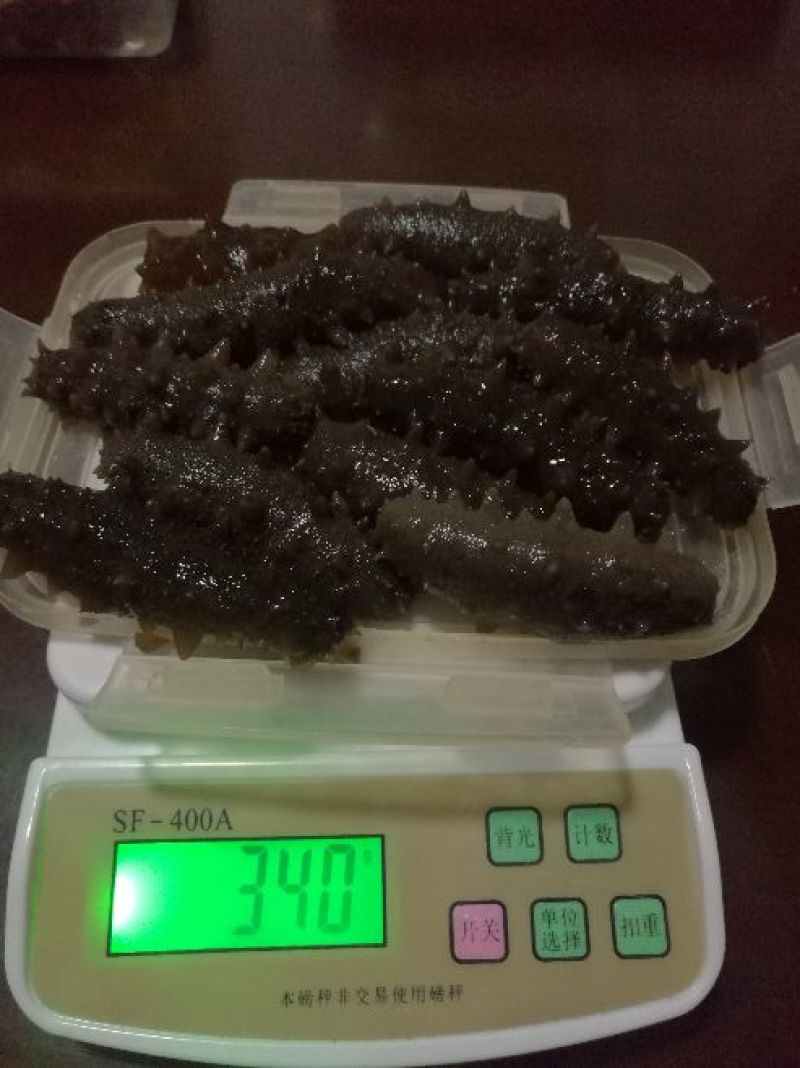 黑海参9元一个，量大批发！