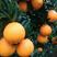 湖北秭归纽荷尔早熟甜橙品种齐全自家果园看货装货无任何费用