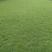 草皮