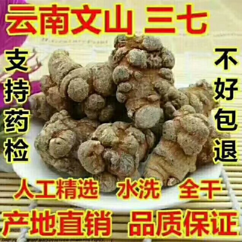 三七