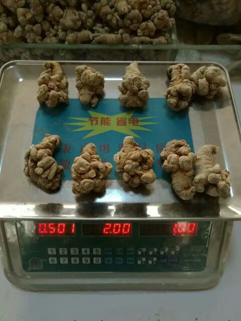 三七