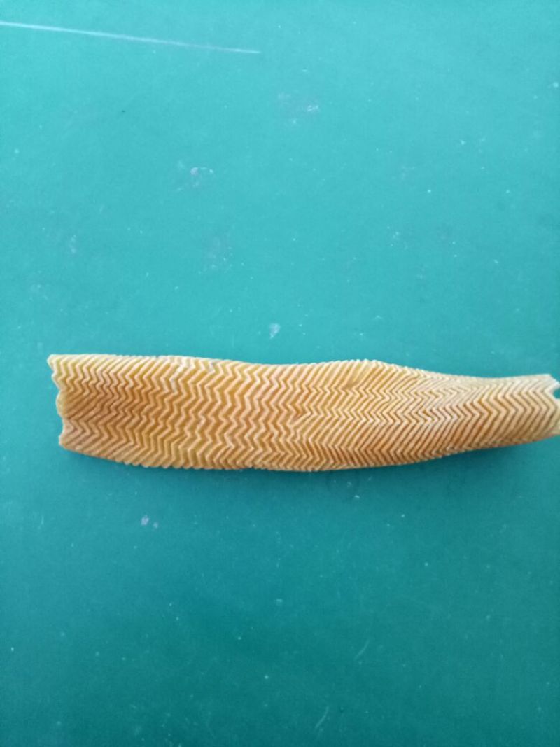 豆腐皮