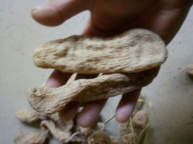 天麻一级，全干，无硫，二级，三级，四级，