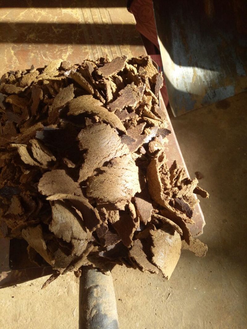 菜饼