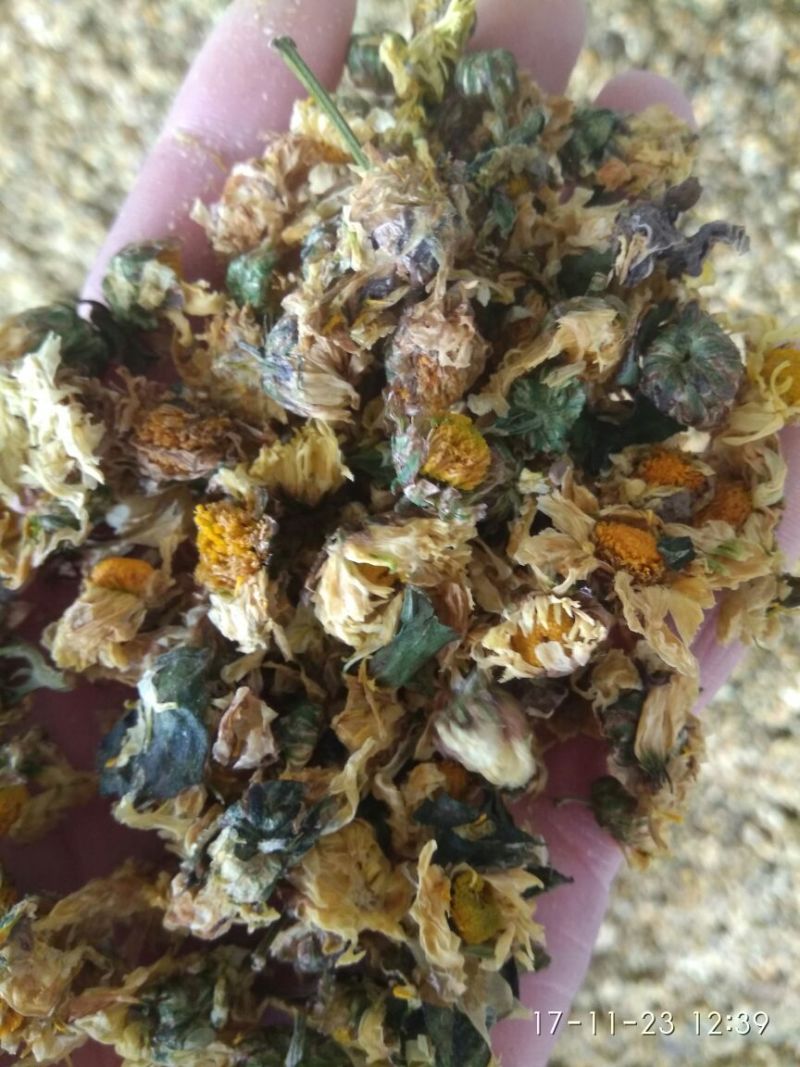 杭白菊散装