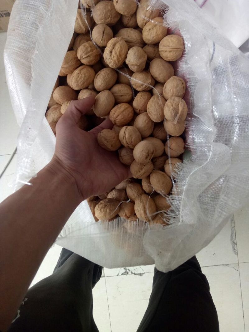 薄皮核桃去皮25~30mm干