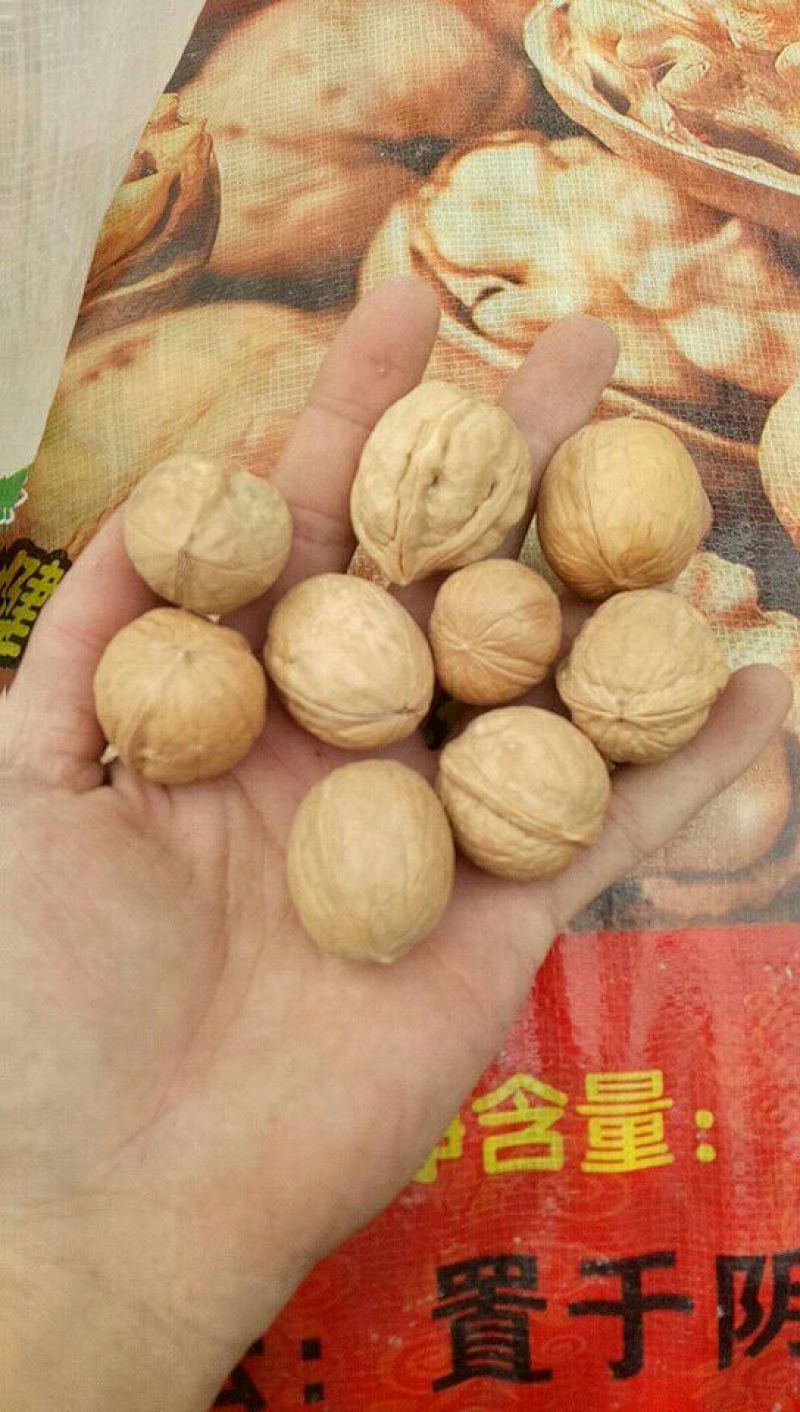 薄皮核桃去皮25~30mm干