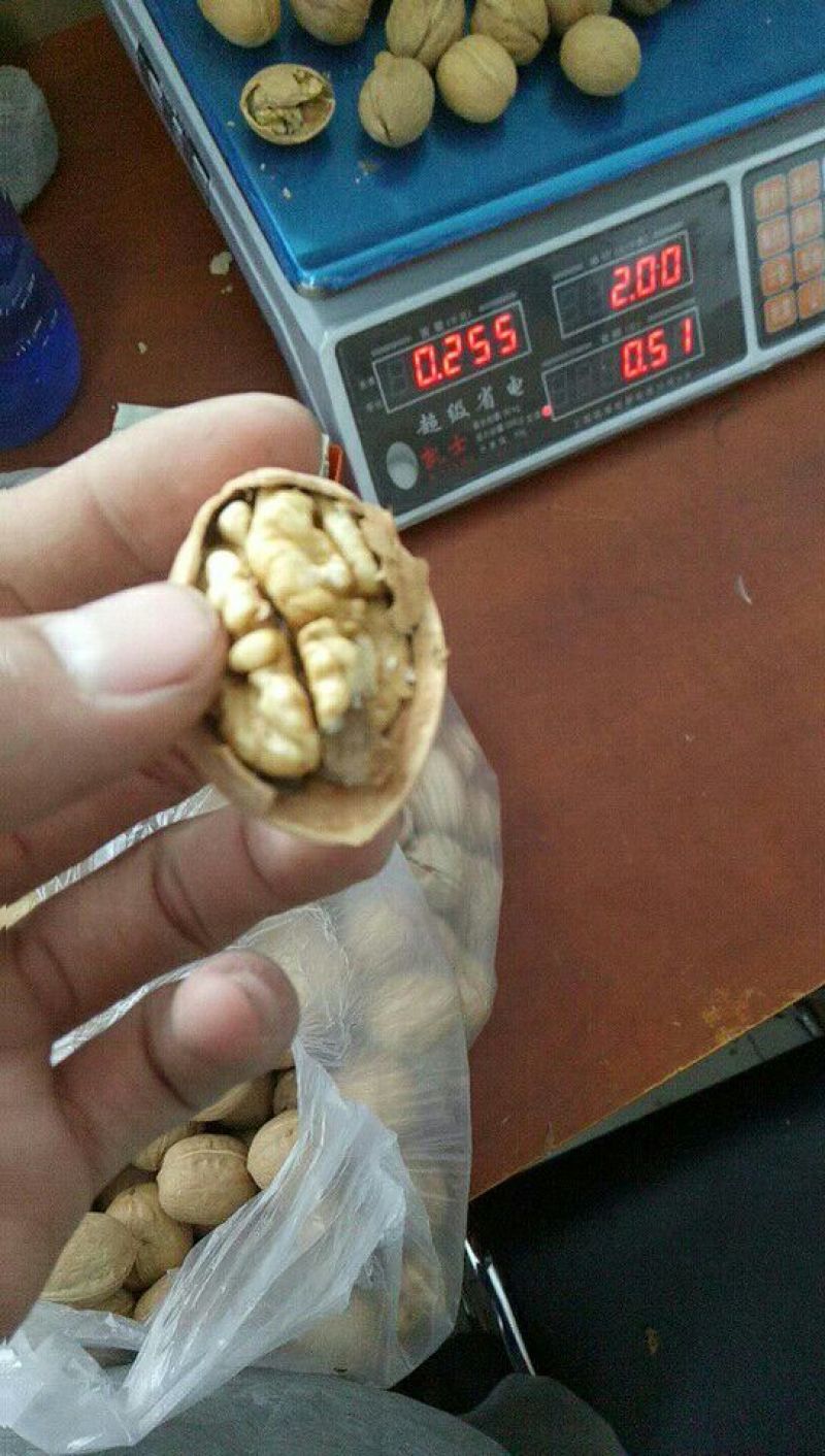 薄皮核桃去皮25~30mm干
