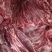 驴肉鲜货