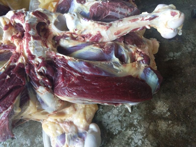 驴肉鲜货