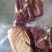 驴肉鲜货