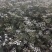 【推荐】安徽亳州前胡种苗2022新产种植基地一手货源直发