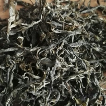 云南普洱茶古树生茶毛料，自己茶山基地的茶