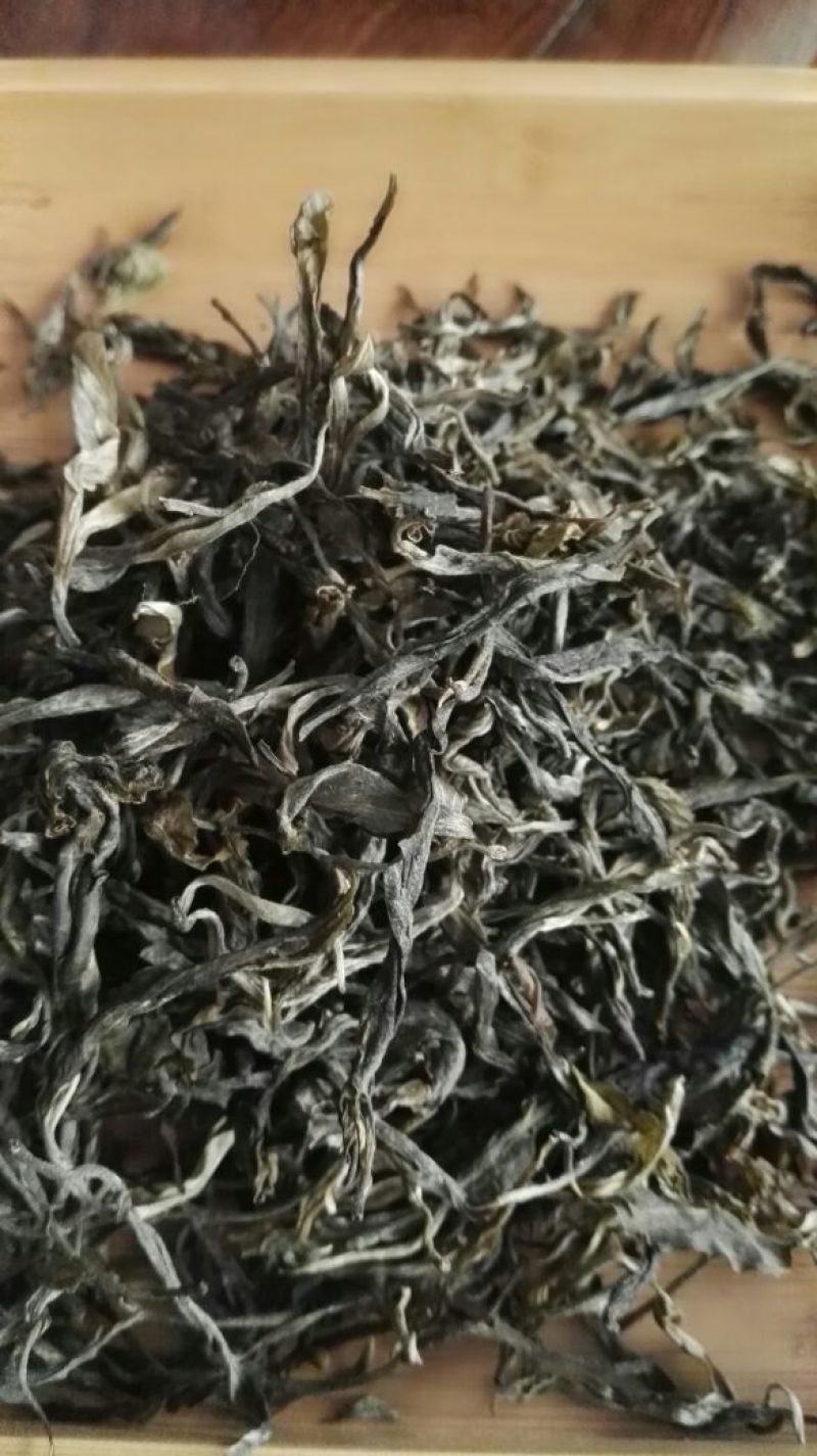 云南普洱茶古树生茶毛料，自己茶山基地的茶