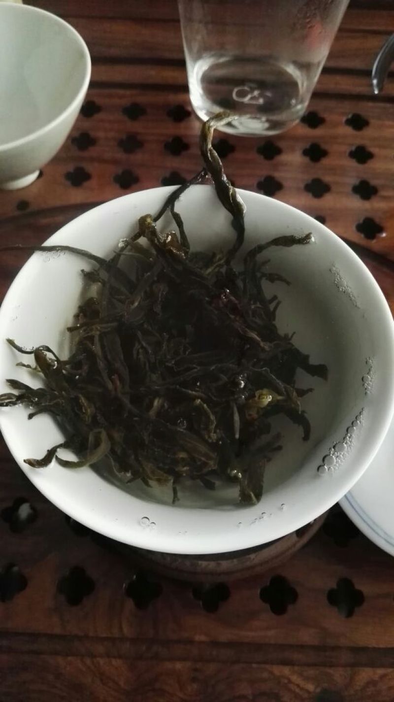 云南普洱茶古树生茶毛料，自己茶山基地的茶