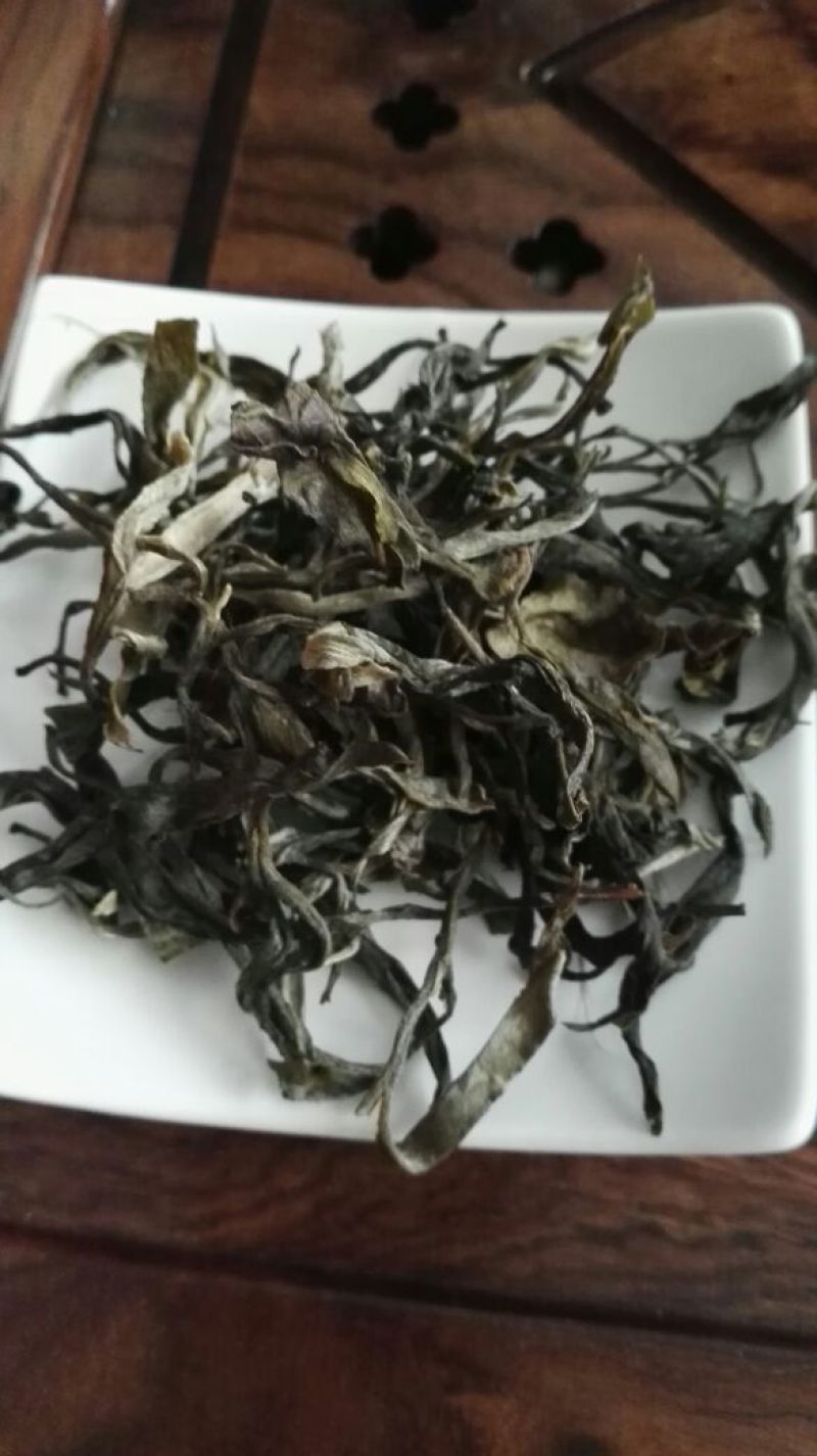 云南普洱茶古树生茶毛料，自己茶山基地的茶