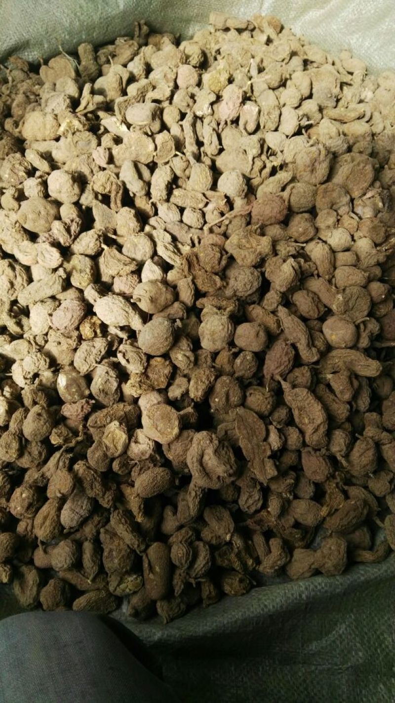 金果榄/青牛胆，地胆，金线吊葫芦，，，，，，
