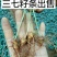 三七苗10~20cm