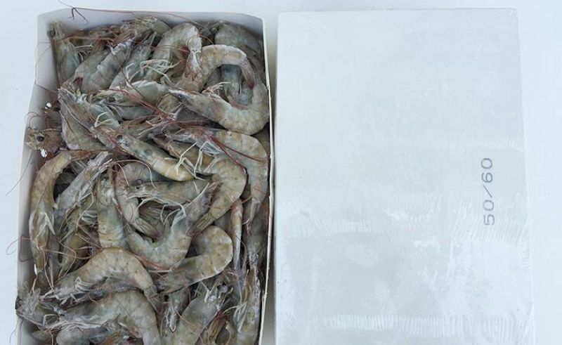 基围虾食用活虾