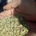 茴香籽