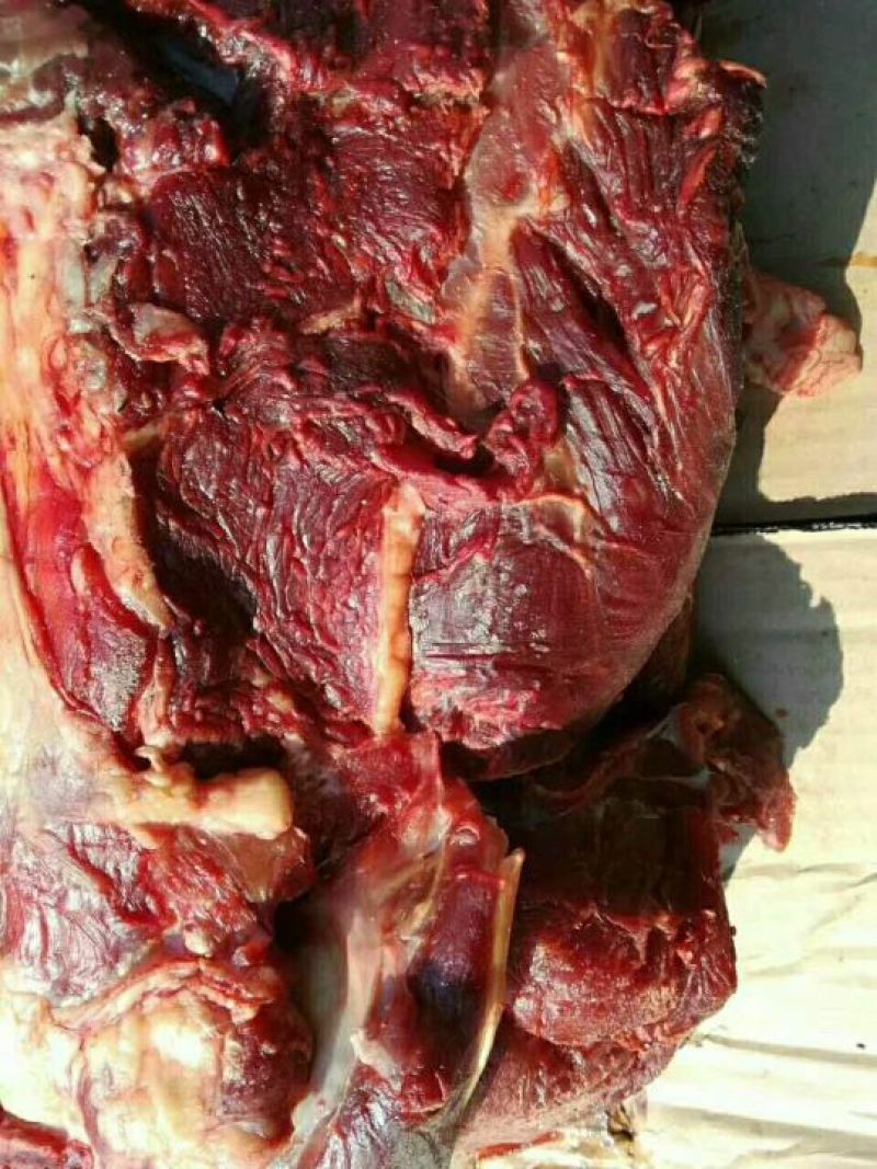 驴肉冻货