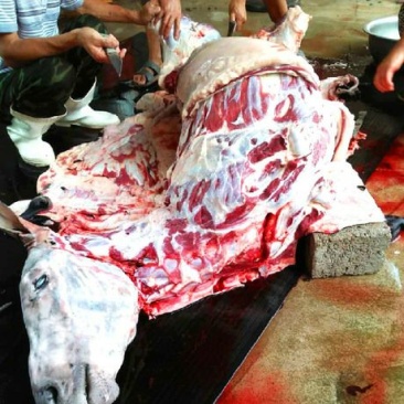 驴肉鲜货