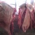 驴肉鲜货