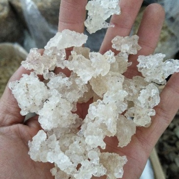雪燕拉丝雪燕植物燕窝木髓丝滑胶原