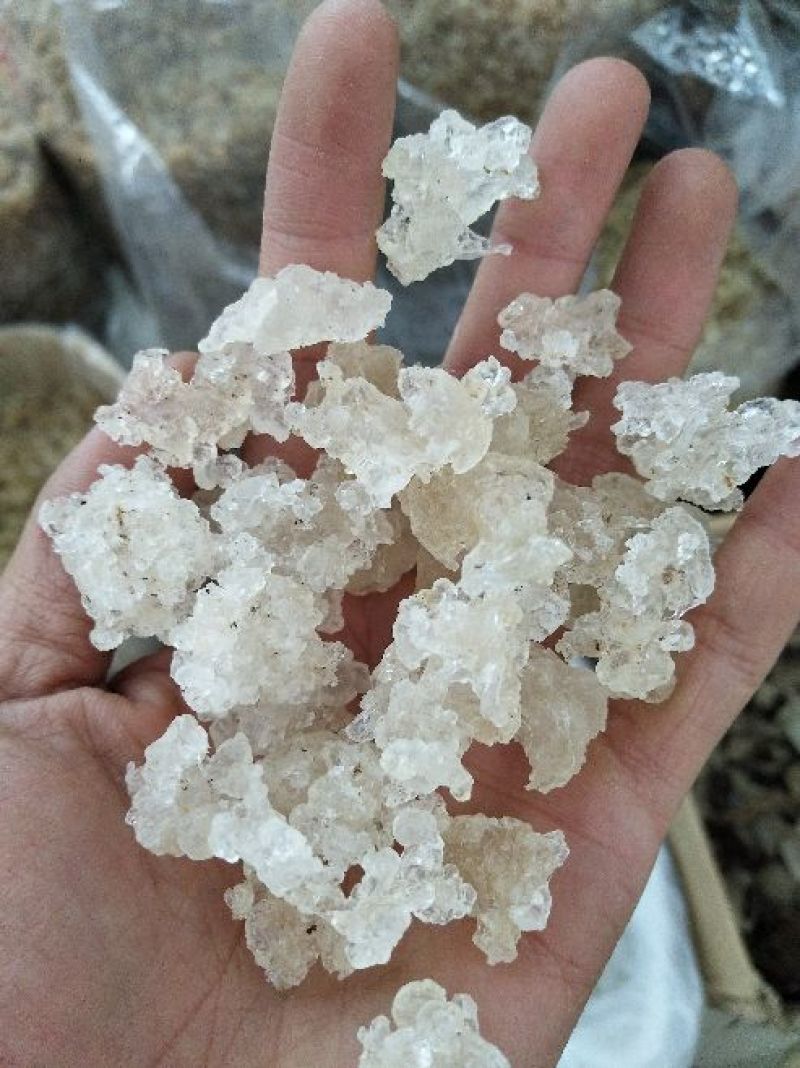 雪燕拉丝雪燕植物燕窝木髓丝滑胶原