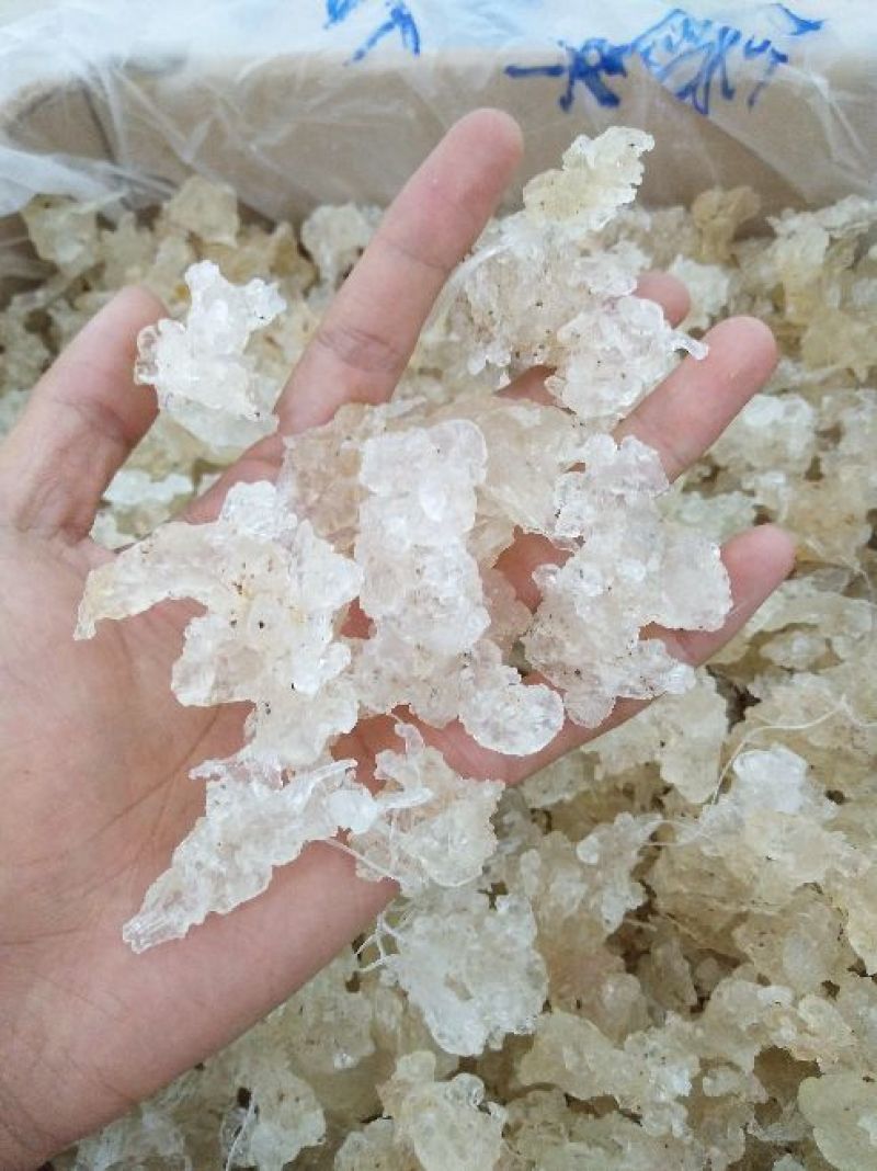 雪燕拉丝雪燕植物燕窝木髓丝滑胶原